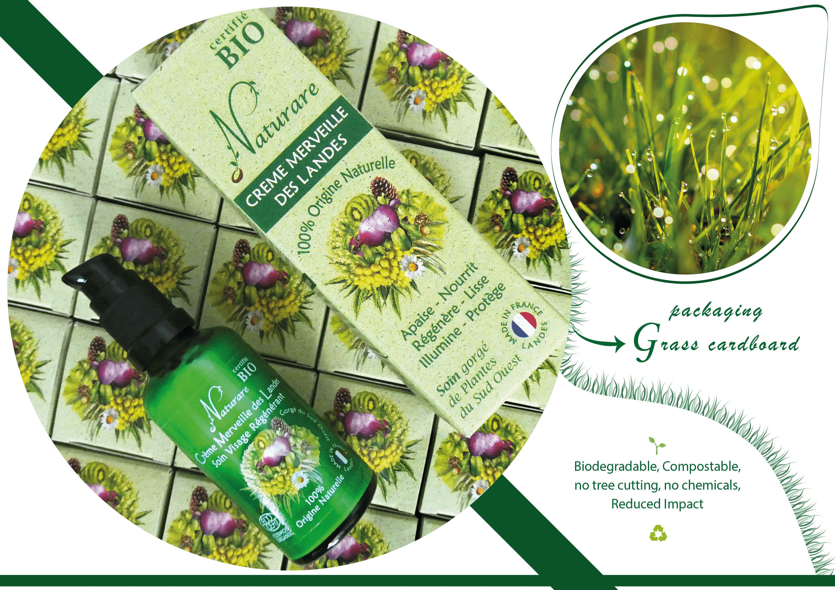 MERVEILLE DES LANDES ORGANIC - Sensitive Skin Care Complete Regeneration Face